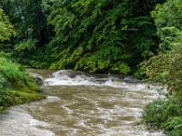 Tiefhängende Äste über rauschenden Prien bei der Klause